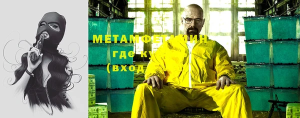 шишки Осинники