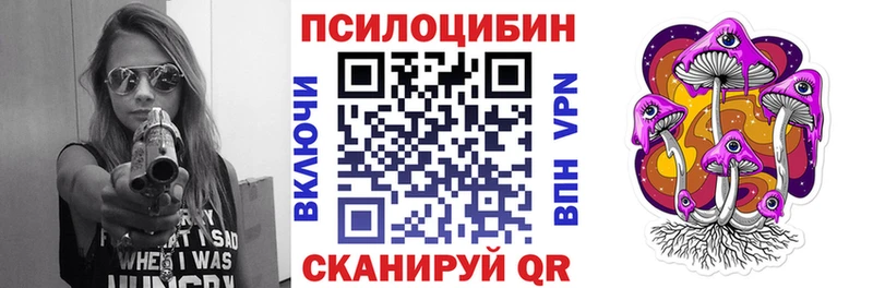 Псилоцибиновые грибы мицелий  Новая Ладога 